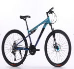 New bicycle 