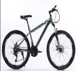 New model bicycle