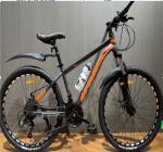 New model bicycle 