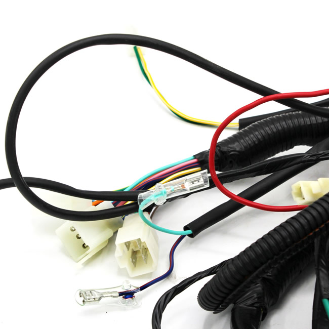 main cable (4)